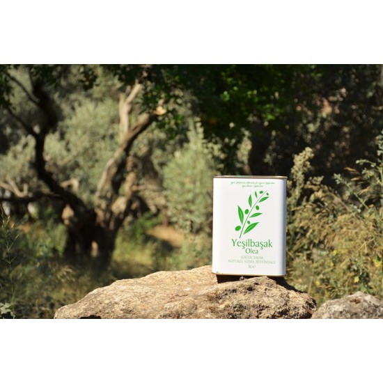 3 LT Teneke Premium Select Olgun Hasat