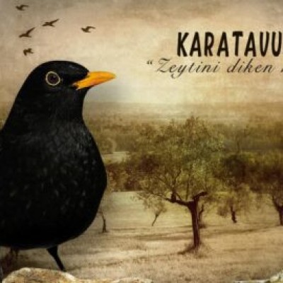 Karatavuk ve Zeytin Ağacının Doğal Döngüsü | Zeytin Çekirdeğinin Hikâyesi