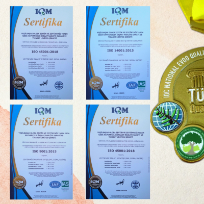 Yeşilbaşak Olea Sertifikaları | Kalite ve Güven Belgeleri